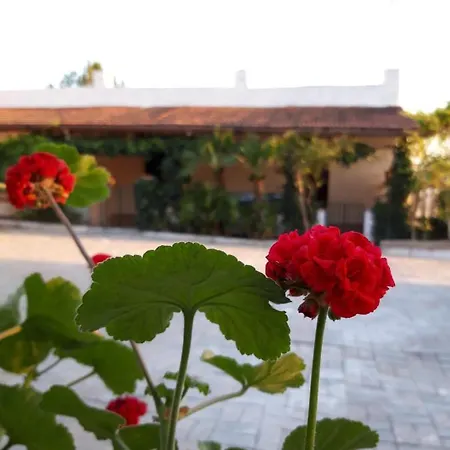 Holiday home Borgo Mira Noto